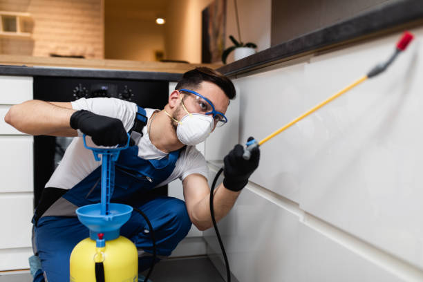 Best Pest Control Near Me  in Lake Mills, WI