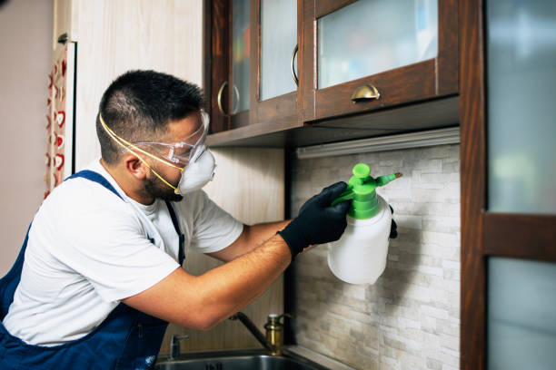 Best Termite Control Services  in Lake Mills, WI