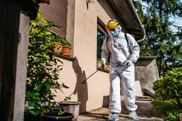 Best Local Pest Control Services  in Lake Mills, WI