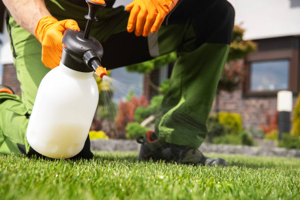 Best Affordable Pest Control Services  in Lake Mills, WI