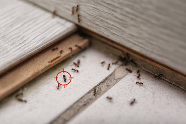 Best Pest Prevention Services  in Lake Mills, WI