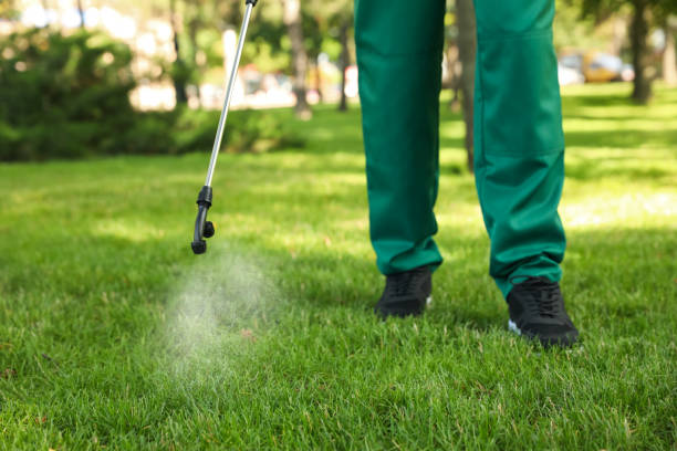 Best Mosquito Control Services  in Lake Mills, WI