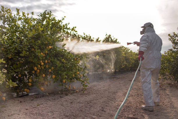 Best Mosquito Control Services  in Lake Mills, WI