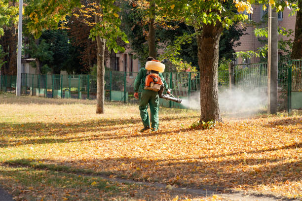 Best Rodent Control Near Me  in Lake Mills, WI
