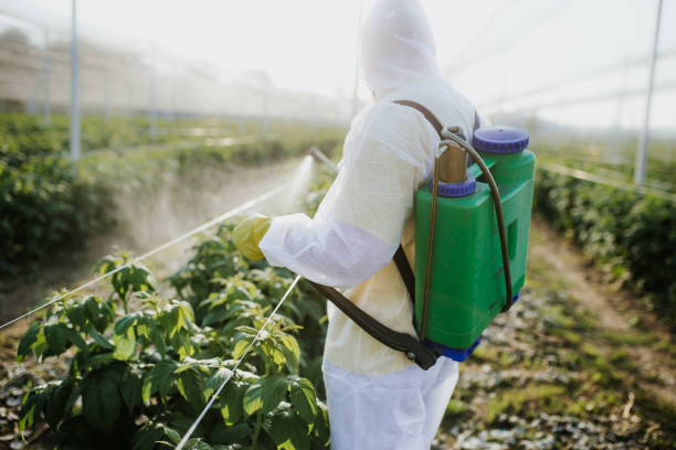 Best Insect Control  in Lake Mills, WI